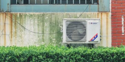 a garden in front of a window