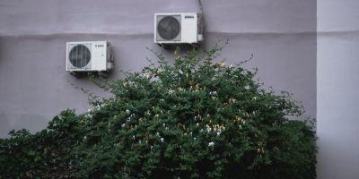 a close up of a flower garden